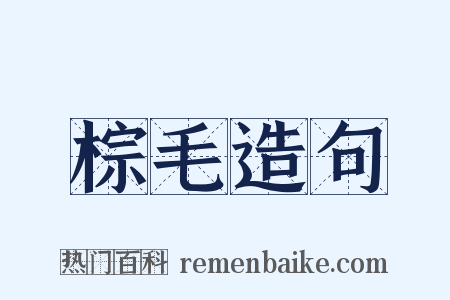 棕毛造句是什么意思的图片